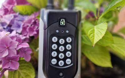 Fine-Tuning Carbon Neutral Strategies in Security and Facilities Management